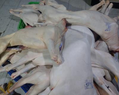 Địa chỉ bán thịt dê tươi tại hcm