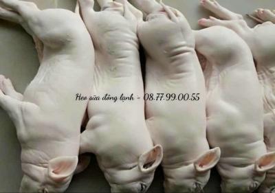 Heo sữa đông lạnh nhỏ, 2.5-3.0 kg/con