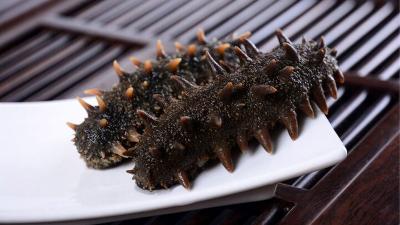 Kể tên các loại hải sâm ăn được tốt cho sức khỏe
