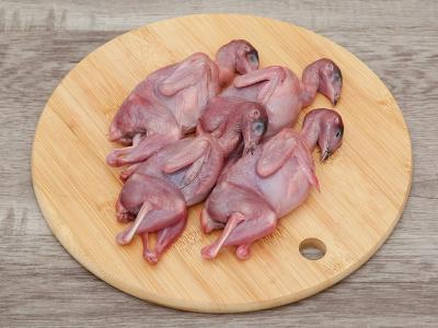 Mua Bán Chim Cút Nuôi Thịt Giống Tốt Số Lượng Lớn Giá Rẻ