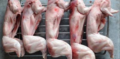 Thịt Thỏ Làm Sạch Nguyên Con, Nuôi Thả Tự Nhiên